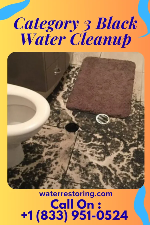 Category 3 Black Water Cleanup in Kellogg, MN