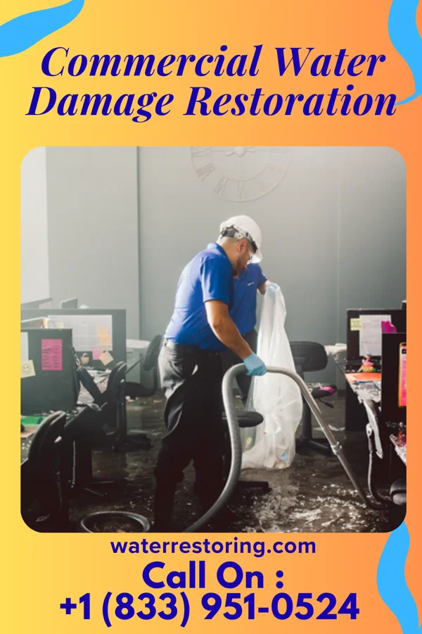 Commercial Water Damage Restoration in Kellogg, MN