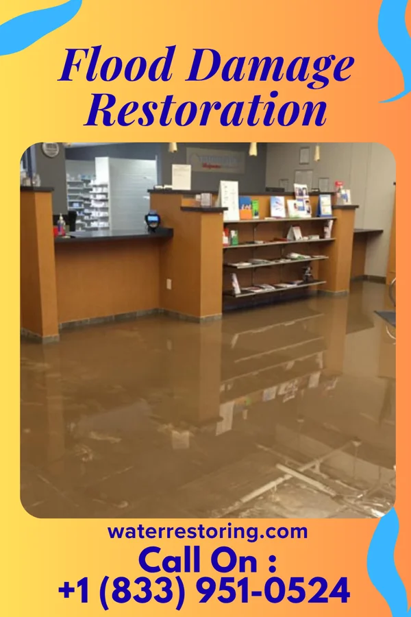 Flood Damage Restoration in Kellogg, MN