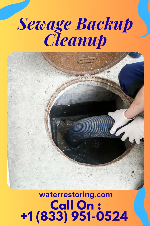 Sewage Backup Cleanup in Kellogg, MN