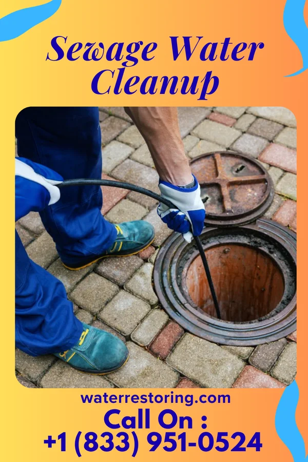 Sewage Water Cleanup in Kellogg, MN