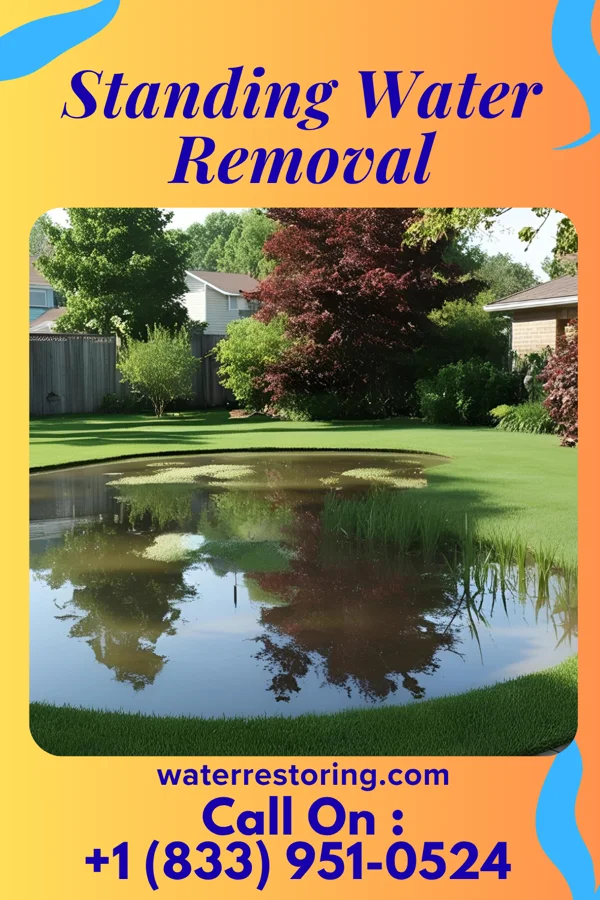 Standing Water Removal in Kellogg, MN